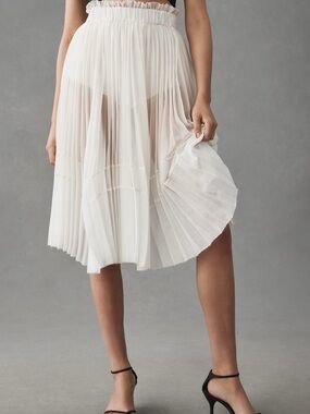 Let Me Be Sheer Pleated A-Line Skirt Anthropologie